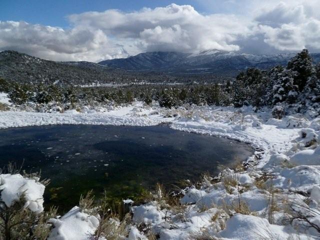 Groundwater Pipeline Threatens Great Basin Desert, Indigenous Groups | Deep Green Resistance News Service