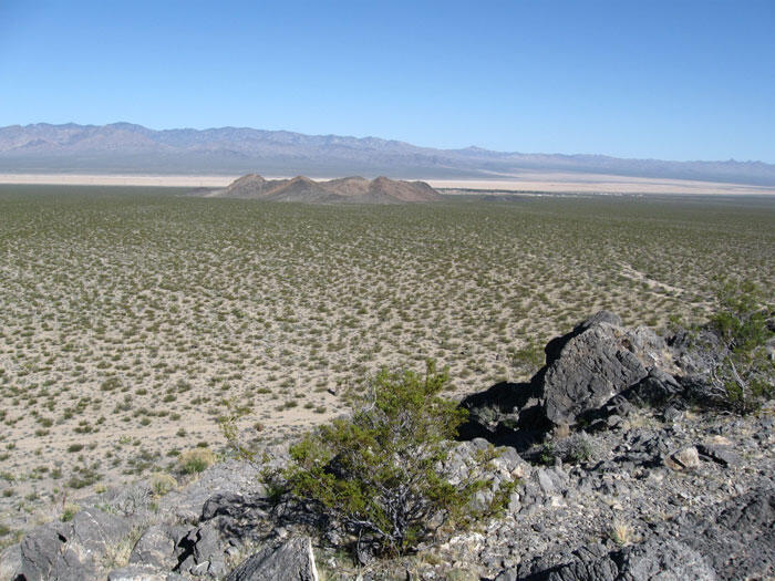 Ivanpah Valley, Mojave Desert, California. Photo courtesy of Basin and Range Watch. This place will be destroyed by a solar energy project.