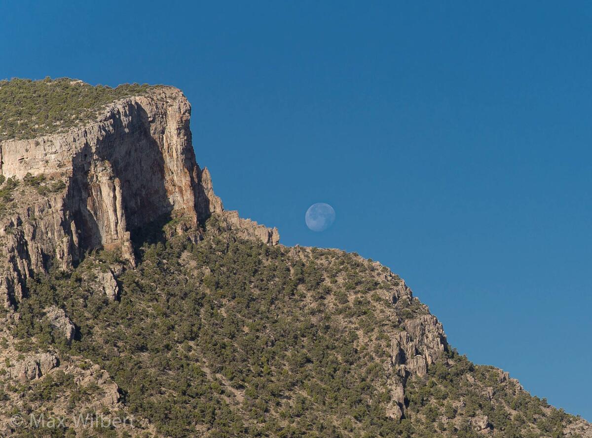 Moonset above Cave Valley. Photo by Max Wilbert.