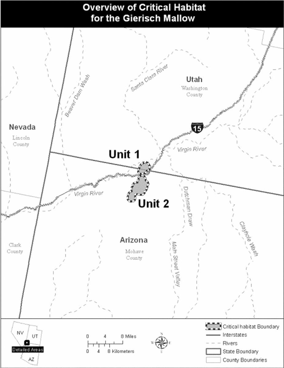 The Gierisch mallow, which is found only in Mohave County, Arizona, and Washington County, Utah, has been declared endangered by federal officials, who want to designate 12,000 acres as critical habitat for the desert flower. Mallow facts Details on the endangered Gierisch mallow from the U.S. Fish and Wildlife Service: - Description: A flowering perennial of the mallow family. Multiple flowers are orange on dark-red or purple woody stems that grow 1.4 to 3.4 feet tall. - Habitat: Found only on gypsum outcrops in northern Mohave County, Arizona, and adjacent Washington County, Utah, at elevations of about 3,500 feet. - Reasons for decline: Mining operations and unauthorized off-roading have damaged habitat; additionally, trash dumping and illegal target shooting have had an impact.