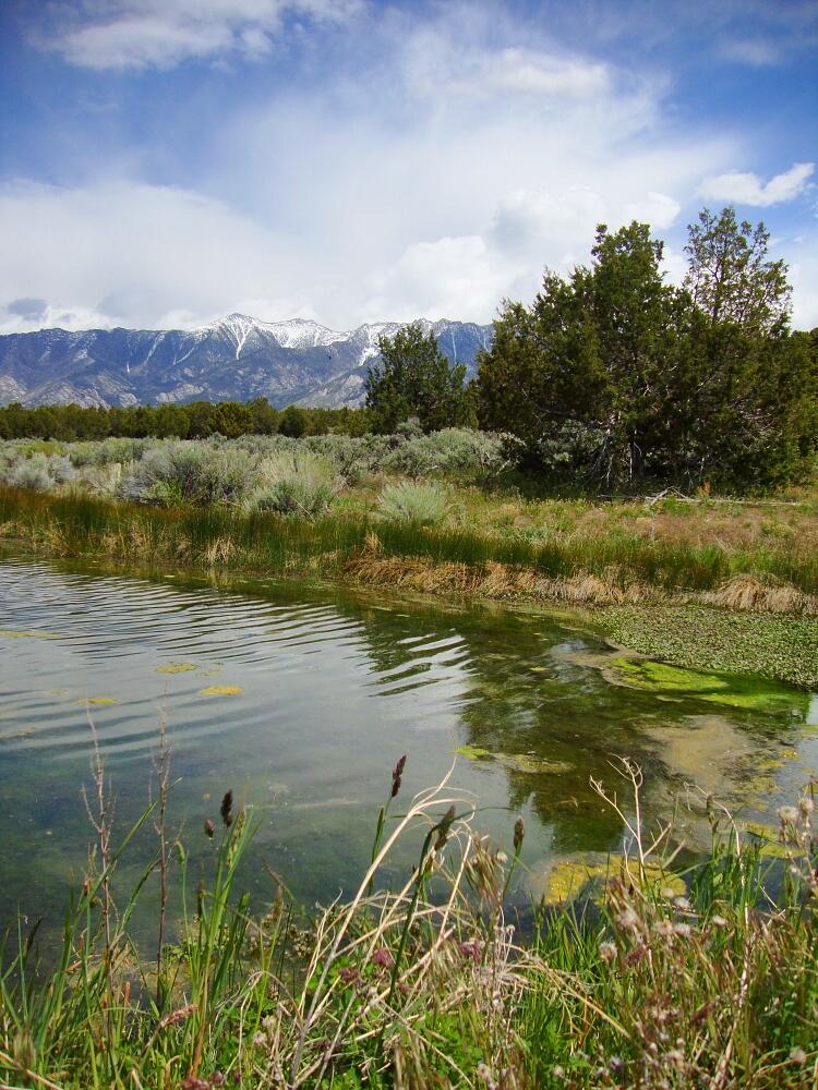 Pond at Spring Creek and Deep Creek Range