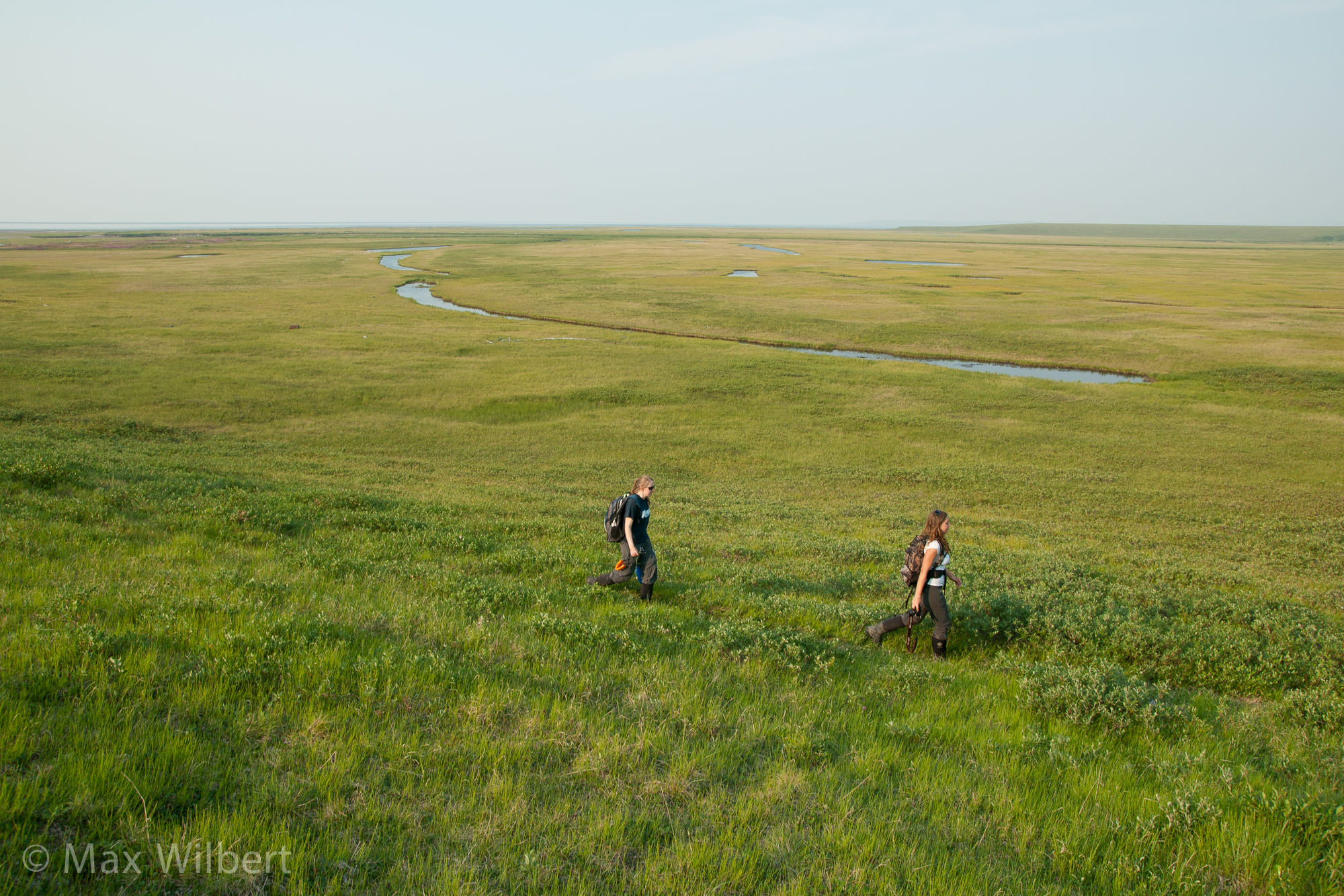 rewilding north america caroline fraser essay Caroline fraser rewilding north america essay rewilding north america: “caroline fraser’s rewilding the world is an exciting fraser revisits aldo leopold's remarkable a sand county almanac essayvisit the post for more. rewilding north america caroline fraser essay Caroline fraser rewilding north america essay rewilding north america: “caroline fraser’s rewilding the world is an exciting fraser revisits aldo leopold's remarkable a sand county almanac essayvisit the post for more.